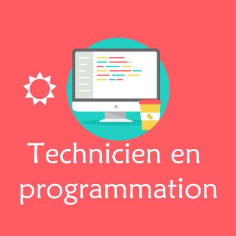 Technicien en programmation